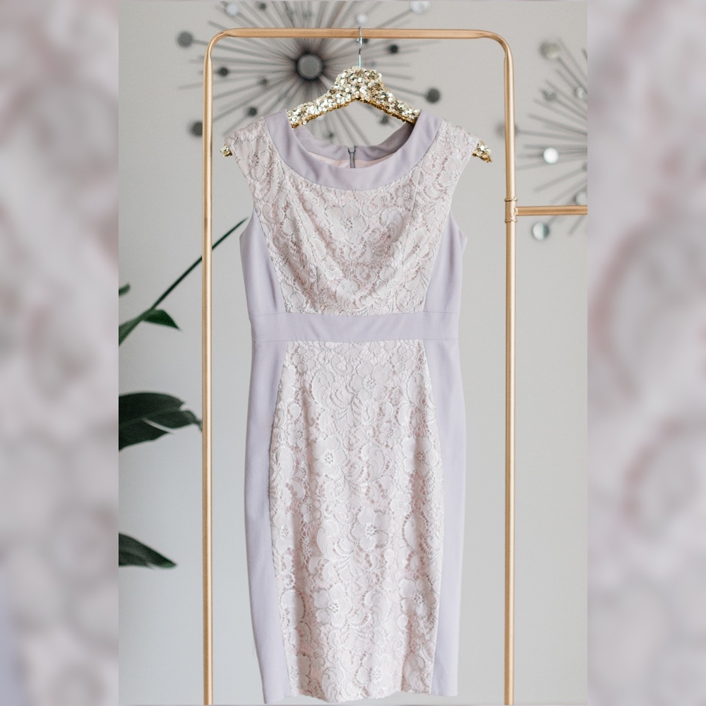 JAX Lavender/Nude Lace Embroidered Dress